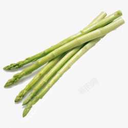 蔬菜竹笋素材