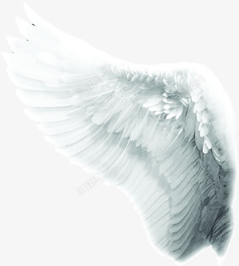 白色天使翅膀png免抠素材_新图网 https://ixintu.com 产品实物 人工制造 天使与魔鬼 天使羽翼 羽毛 钢铁骨架