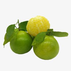 产品实物绿色蜜柑素材