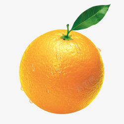 刚洗的水果刚洗的橙子水果橙子高清图片