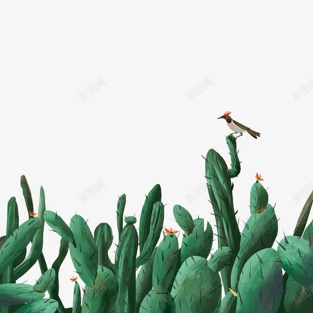 水彩手绘系列绿色的仙人掌png免抠素材_新图网 https://ixintu.com 仙人掌 水彩 系列 绿色