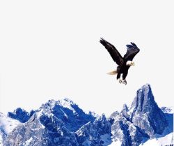 气势磅礴雪山老鹰高清图片