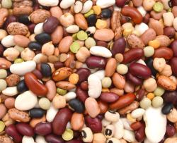 豆类粮食豆类食材摄影高清图片