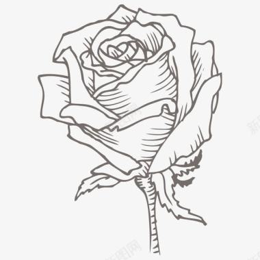 玫瑰花素描图标图标