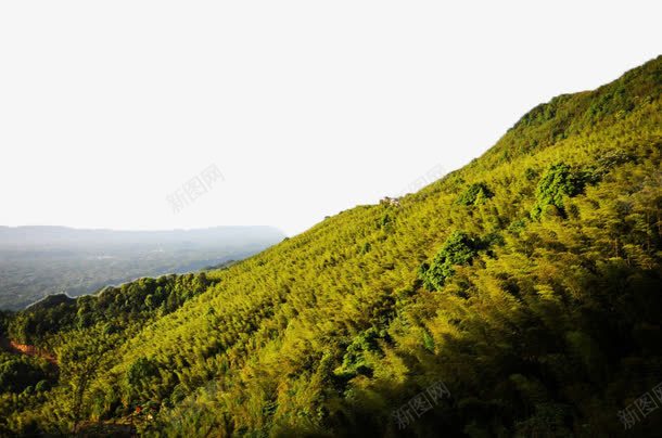 重庆永川茶山竹海风景矢量图eps免抠素材_新图网 https://ixintu.com 山水 旅游 美景 重庆 风景 矢量图