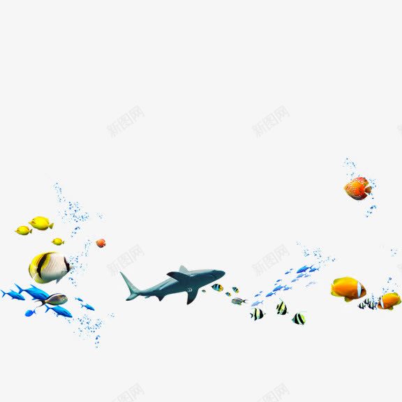 海中的鱼png免抠素材_新图网 https://ixintu.com 海鱼 热带鱼 鲨鱼