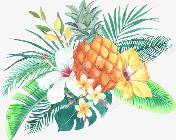 热带水果菠萝png免抠素材_新图网 https://ixintu.com 手绘 水果 热带 热带水果菠萝 菠萝 黄色