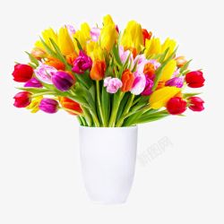 美丽的花盆美丽的郁金香花朵高清图片