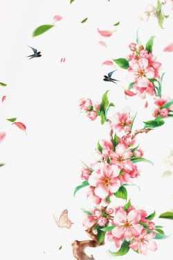 你好春季创意春季花瓣装饰背景高清图片