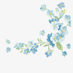 马兰盛开的蓝色马兰花手绘插图高清图片