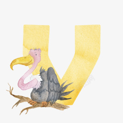 驼鸟卡通手绘字母与鸵鸟高清图片