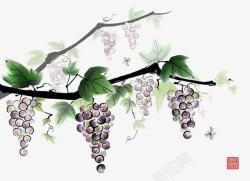 葡萄树矢量图水墨葡萄藤葡萄架高清图片