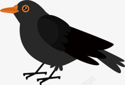 乌鸦免扣PNG图手绘黑色乌鸦矢量图高清图片