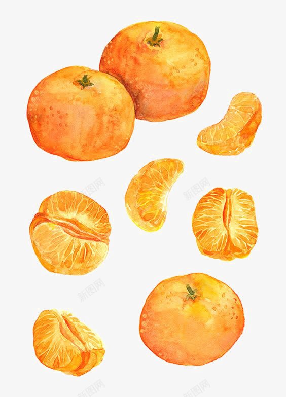 手绘橙子png免抠素材_新图网 https://ixintu.com 一瓣橙子 创意水果 橘子 橘子汁 橙子