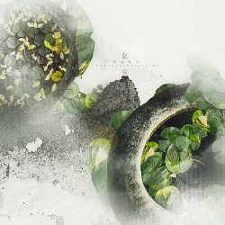 石缸中国古风石缸绿植3高清图片