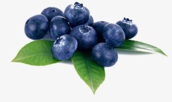 紫色诱人桑葚黑紫色蓝莓果实高清图片
