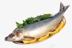新鲜鱼食材素材