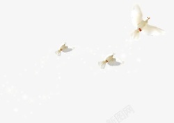 白色飞舞翱翔白鸽素材