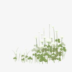 淡雅的边框田园风三叶草绿色高清图片