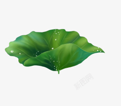 圆形荷叶绿色荷叶雨滴装饰高清图片