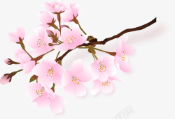 桃花绽放春天绽放的粉色桃花高清图片