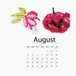 2019八月水彩植物年历矢量图素材
