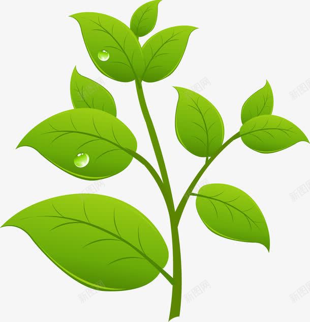 沾满水珠的新芽png免抠素材_新图网 https://ixintu.com 叶子 大树 小树 成长过程 树 树木 树苗 植物 水珠 绿色 绿色植物 茁壮成长 露珠