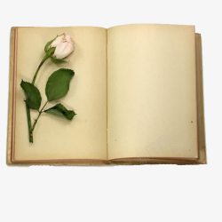 复古翻开的书页玫瑰花素材