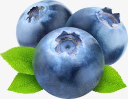 多汁风格大粒蓝莓高清图片
