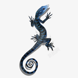 蓝色水彩手绘蜥蜴矢量图素材