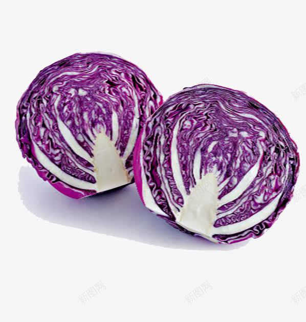 紫包菜png免抠素材_新图网 https://ixintu.com 产品实物 包菜 紫包菜 紫甘蓝 紫色 菜元素 蔬菜