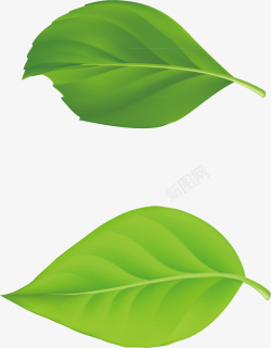logo茶叶叶子扁平飘散的叶子图标高清图片