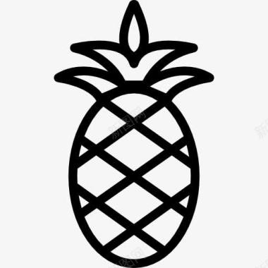 大菠萝图标图标