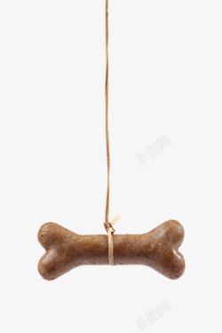 肉骨头棕色可爱动物的食物吊着的骨头狗高清图片