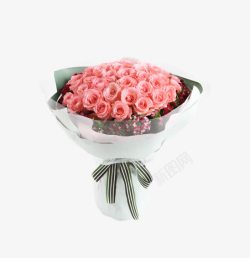 条纹丝带戴安娜粉玫瑰50枝花束高清图片