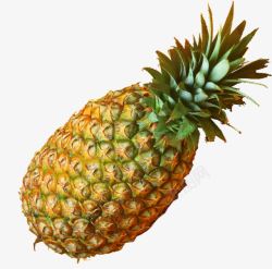 一颗菠萝大菠萝高清图片
