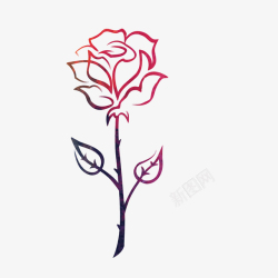 简笔画玫瑰一支漂亮的玫瑰花矢量图高清图片