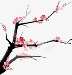 春天粉色美丽桃花素材