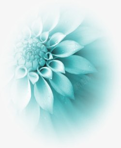 淡蓝色花朵装饰图案素材