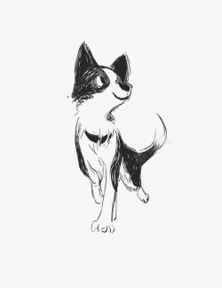 铅笔画的黑白宠物狗高清图片