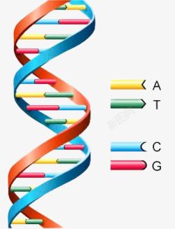 双螺旋基因链双螺旋基因链高清图片