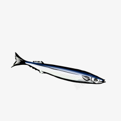 海生动物卡通海鱼带鱼手绘图高清图片