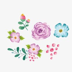 花朵插画彩色素材