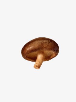 菌类食材香菇高清图片