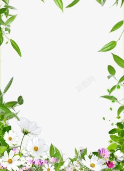 女性花茶杯花卉边框高清图片
