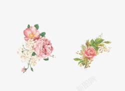 花朵合集粉色手绘水墨玫瑰花牡丹花高清图片