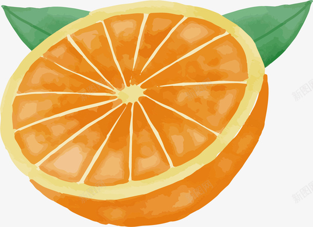 手绘橙子png免抠素材_新图网 https://ixintu.com PNG图 PNG图下载 创意卡通 卡通插图 手绘 插图 橘子 橙子 水果插图