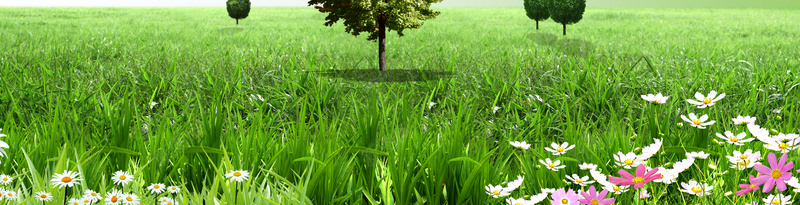 绿色清新保护树木环保背景psd设计背景_新图网 https://ixintu.com 保护树木 树木 清新 环保 环保树木 绿化 绿色 背景素材 草原