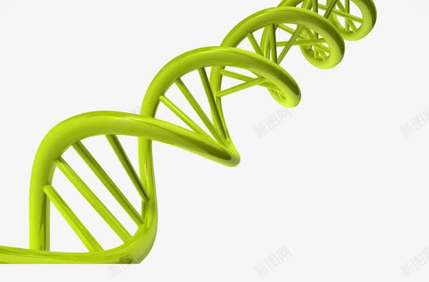 绿色基因链png免抠素材_新图网 https://ixintu.com DNA 双螺旋 基因检测 基因链 生物科学 绿色