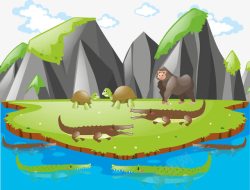 卡通猩猩动物岛的背景高清图片